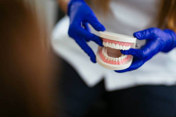 Lebanon, TN Dental Services Company